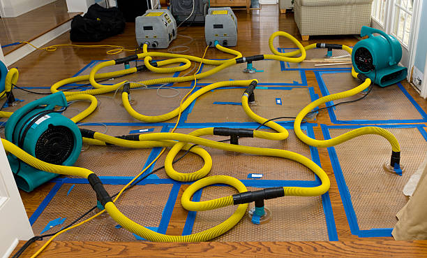 Professional Basement Flood Cleanup technician working in Maxwell, CA